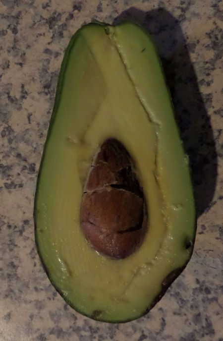 Avocado sharwil fruit cut