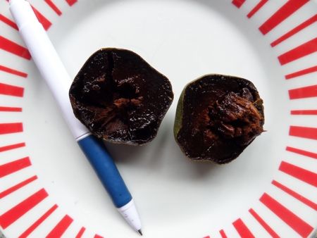 Black sapote fruit