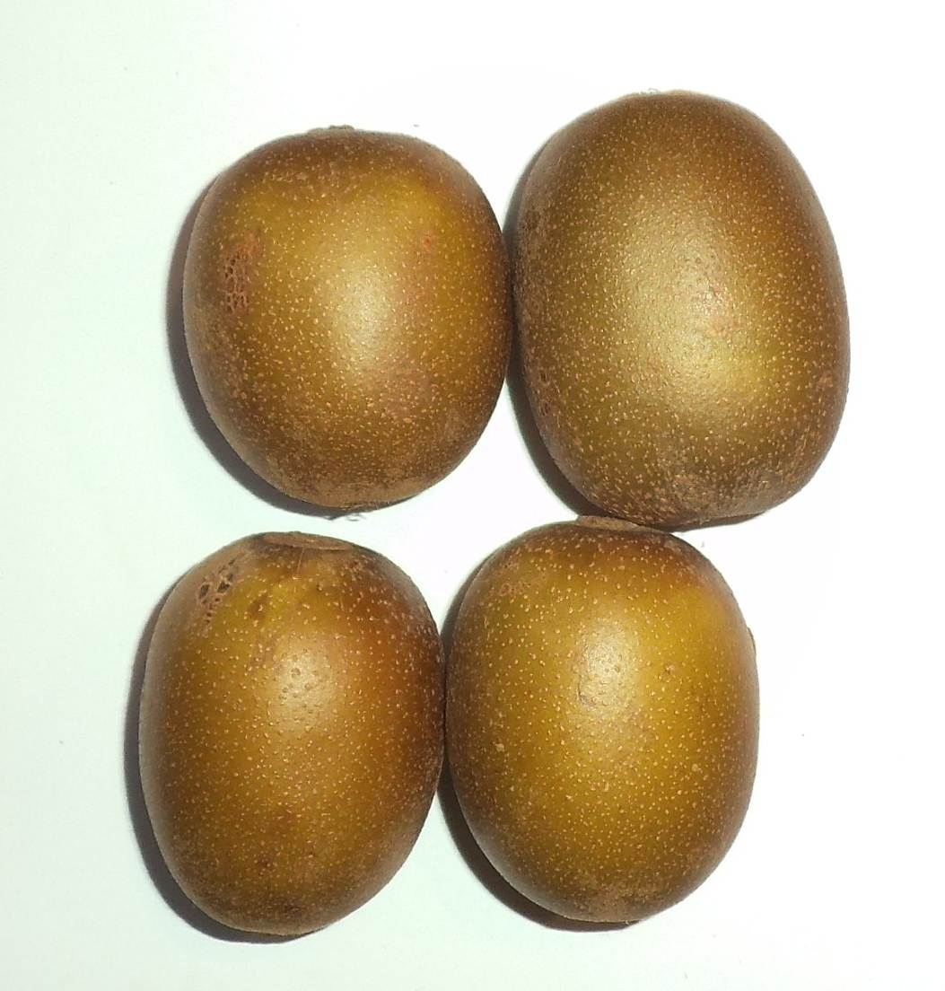 Yellow kiwifruit variety zesy002 aka 'Gold 3', 'G3',
            and sungold