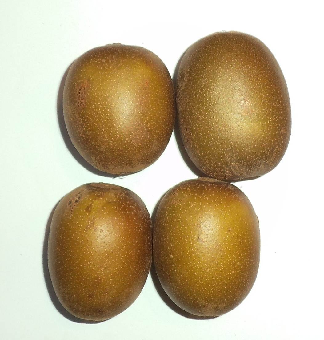 Yellow kiwifruit variety zesy002 aka 'Gold 3', 'G3',
            and sungold