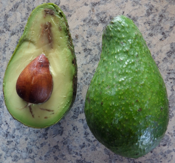 What Is A Pinkerton Avocado? | Pinkerton Avocados – VKEWJD