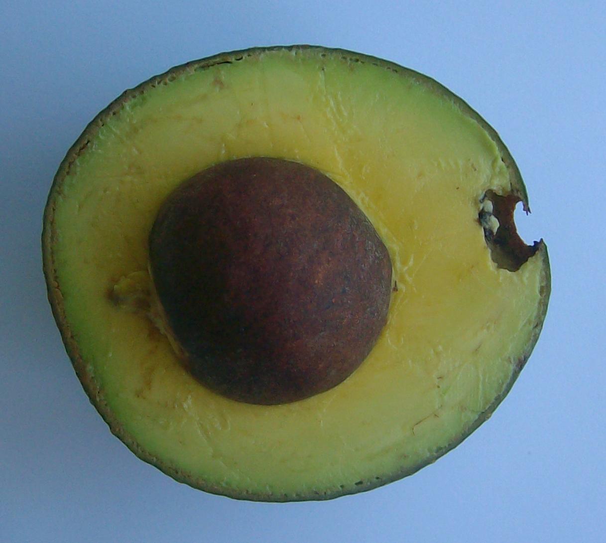 Reed avocado
              fruit, half