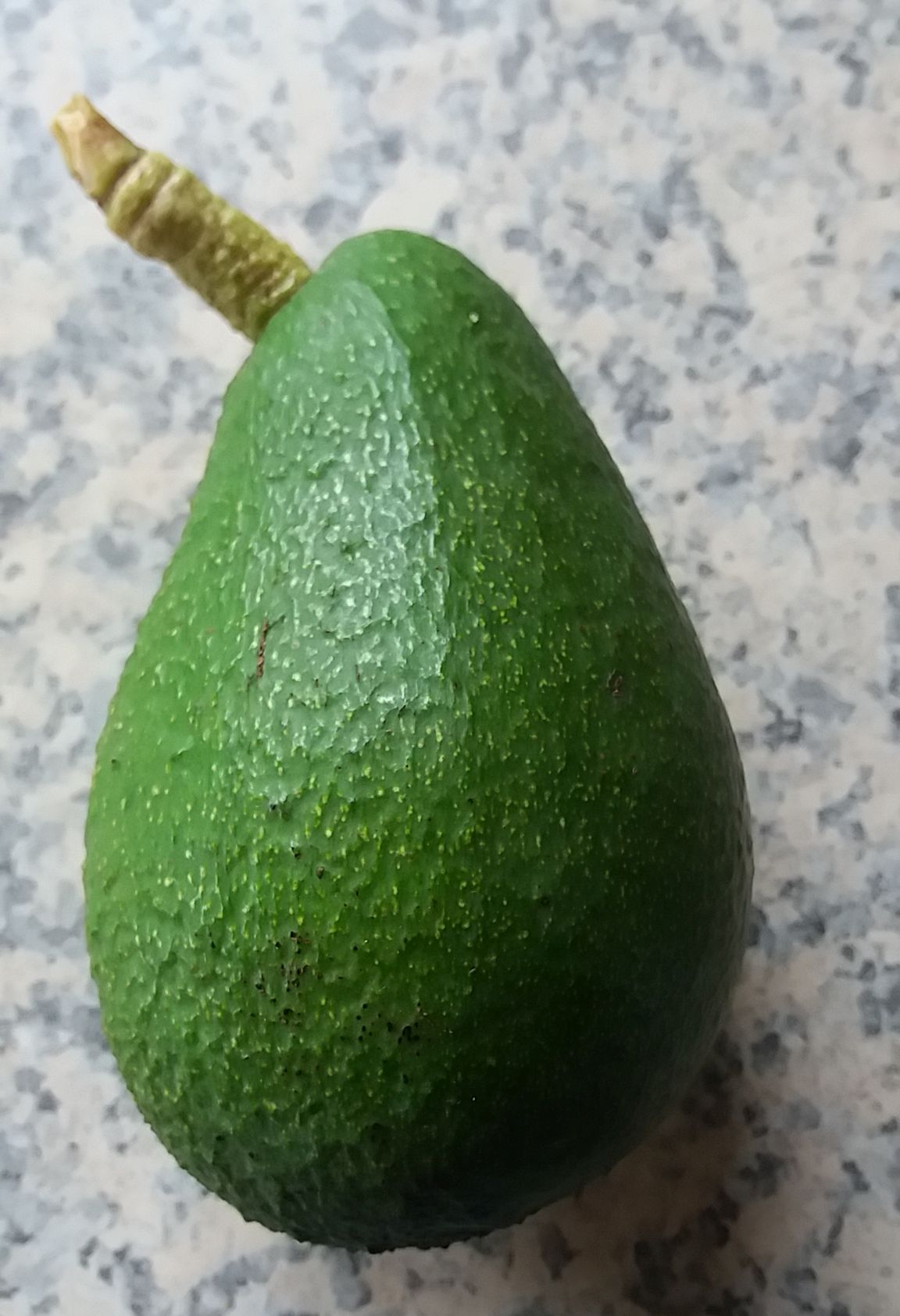 Sharwil fruit