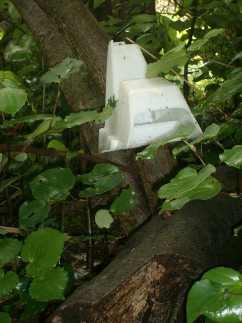 possum bait
                station